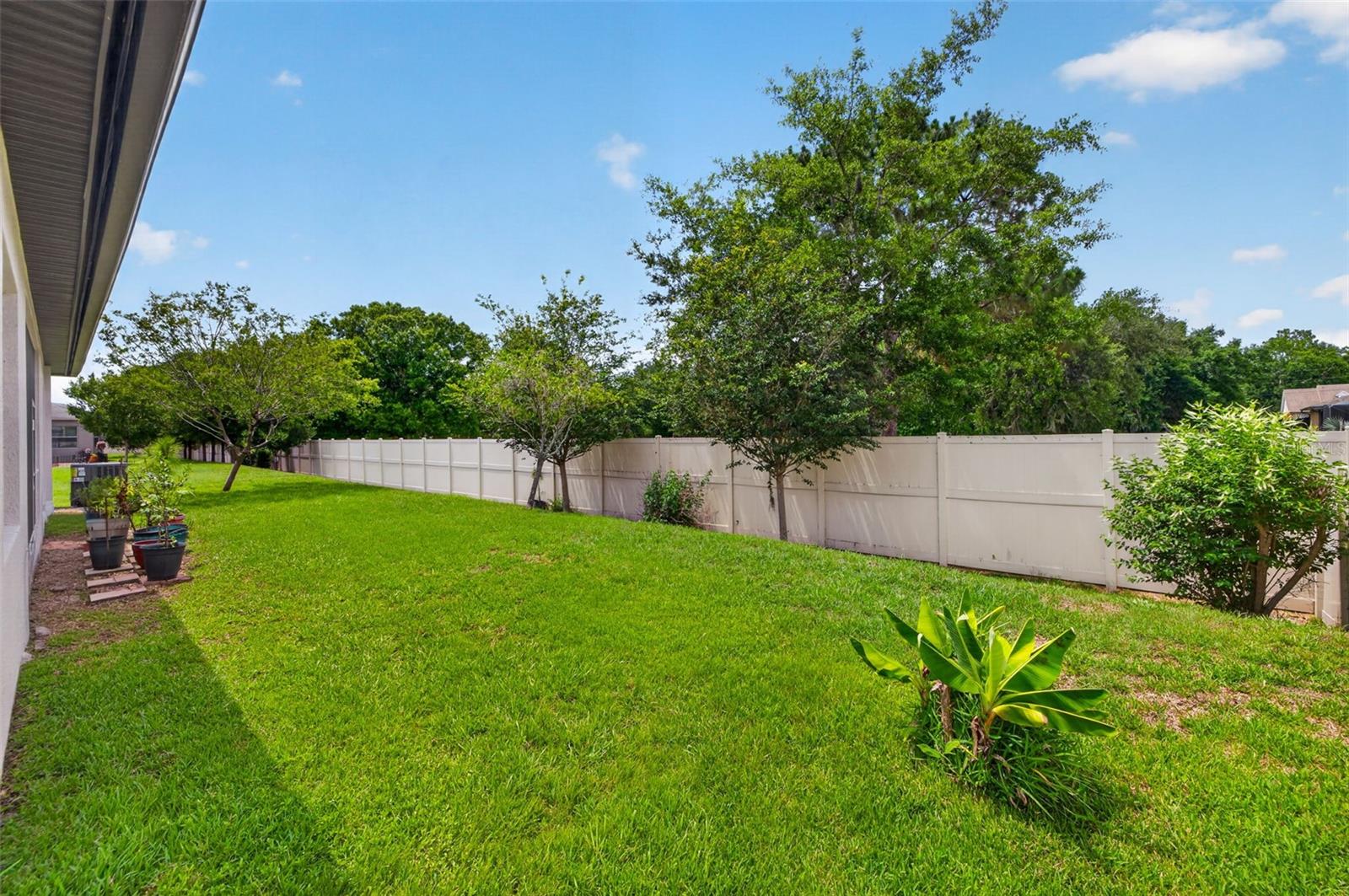 27225 SORA BLVD, WESLEY CHAPEL, FL, 33544
