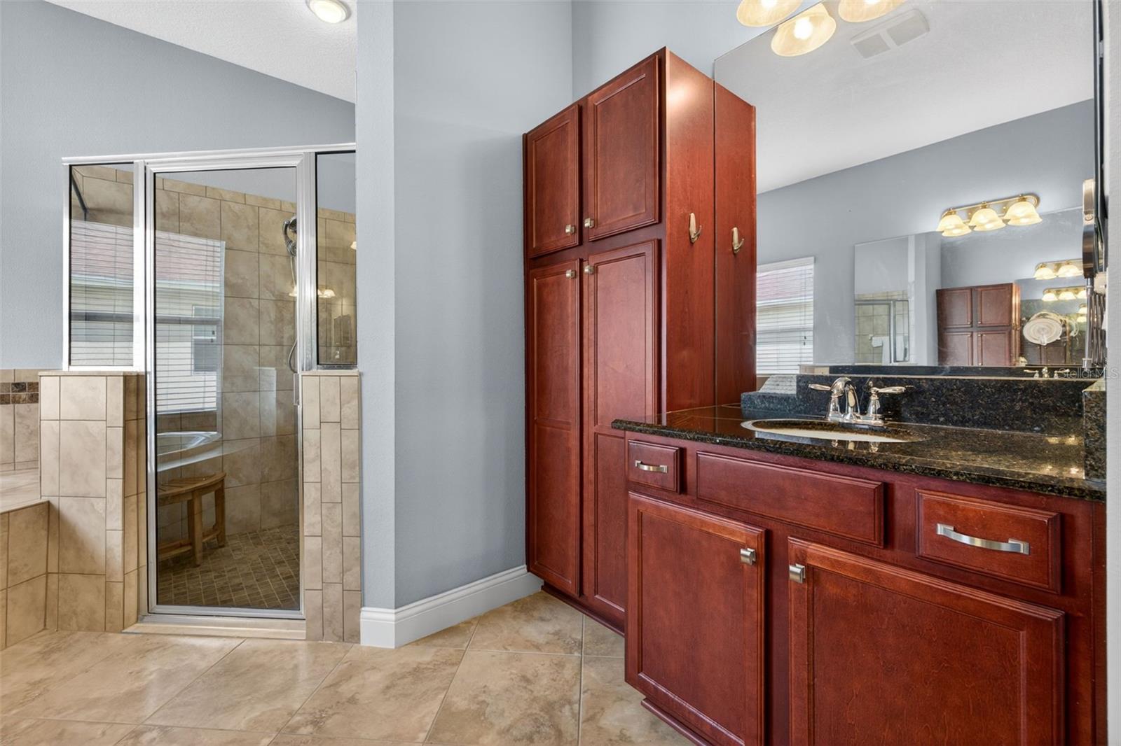 27225 SORA BLVD, WESLEY CHAPEL, FL, 33544