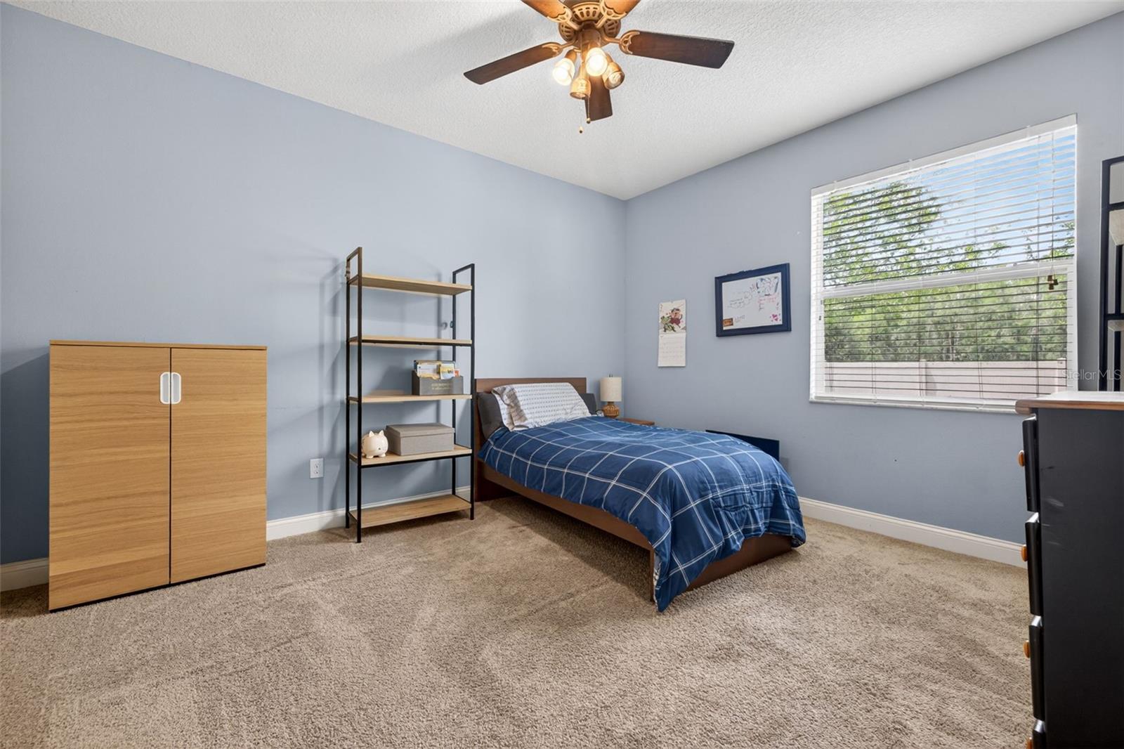 27225 SORA BLVD, WESLEY CHAPEL, FL, 33544