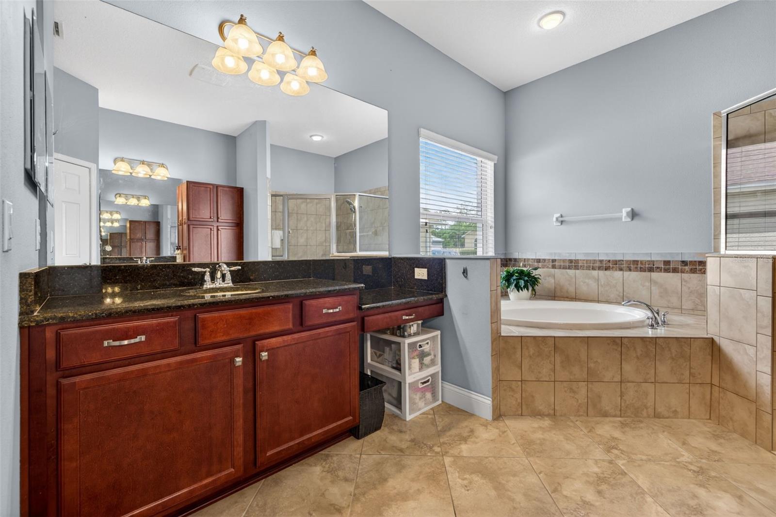 27225 SORA BLVD, WESLEY CHAPEL, FL, 33544