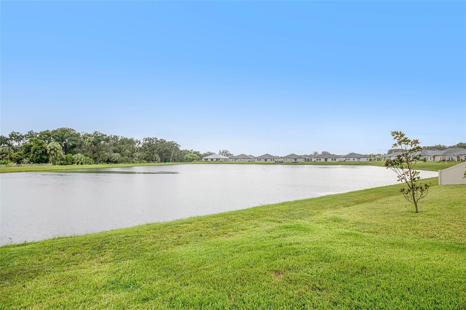 10829 CRUSHED GRAPE DR, RIVERVIEW, FL, 33578