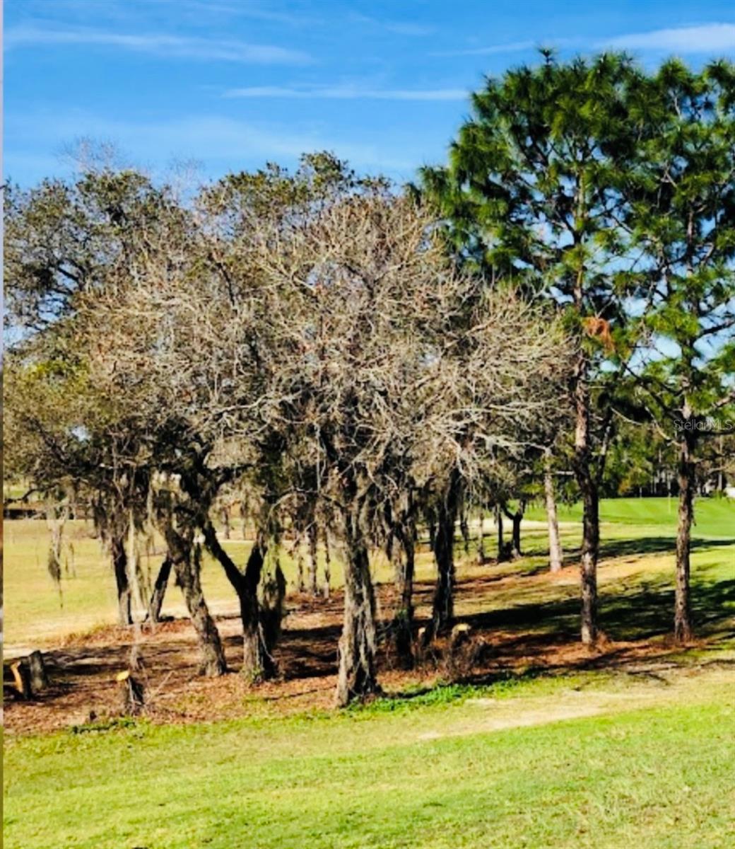 51 HICKORY COURSE TRL, OCALA, FL, 34472
