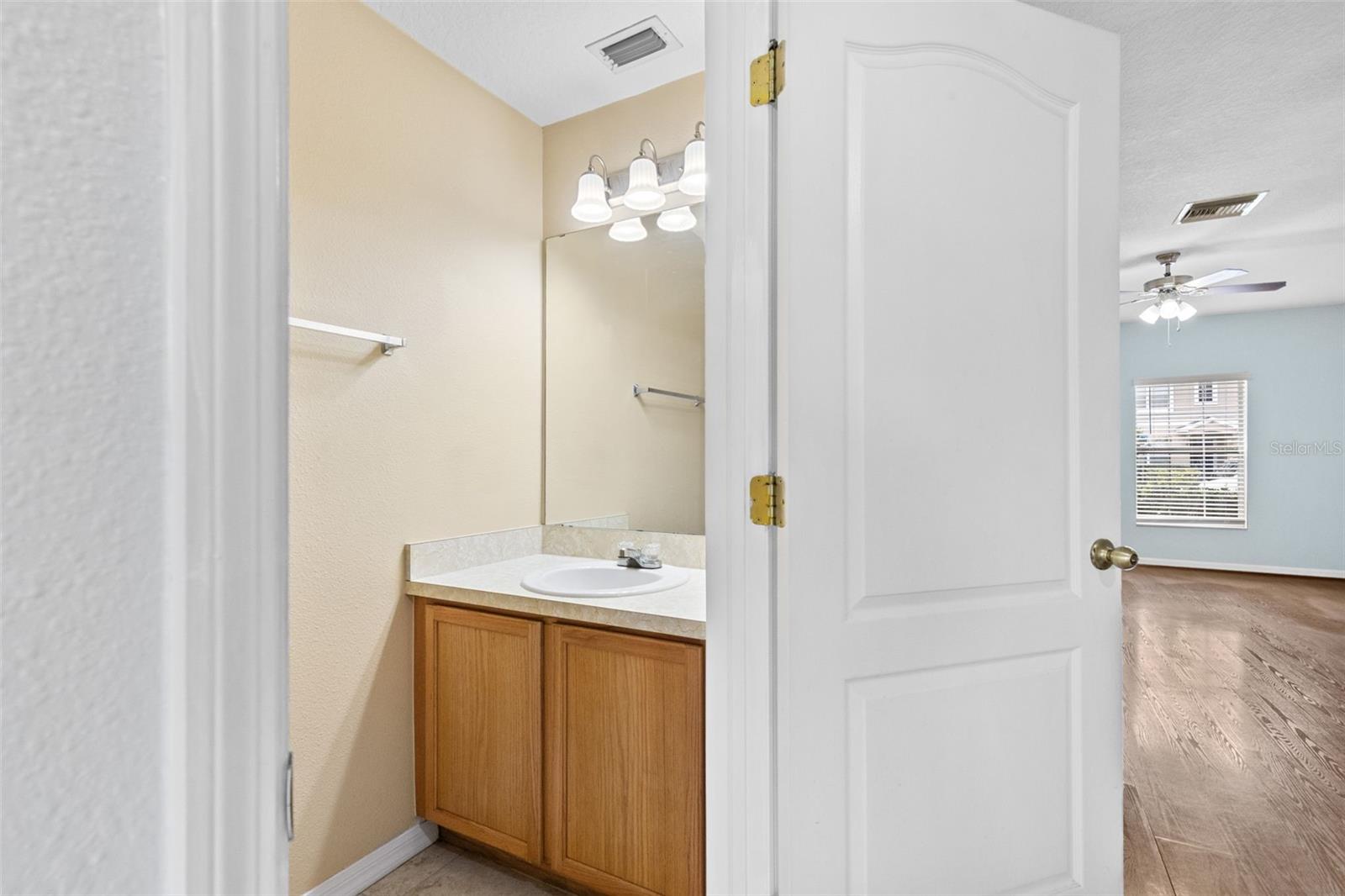 16221 SWAN VIEW CIR, ODESSA, FL, 33556