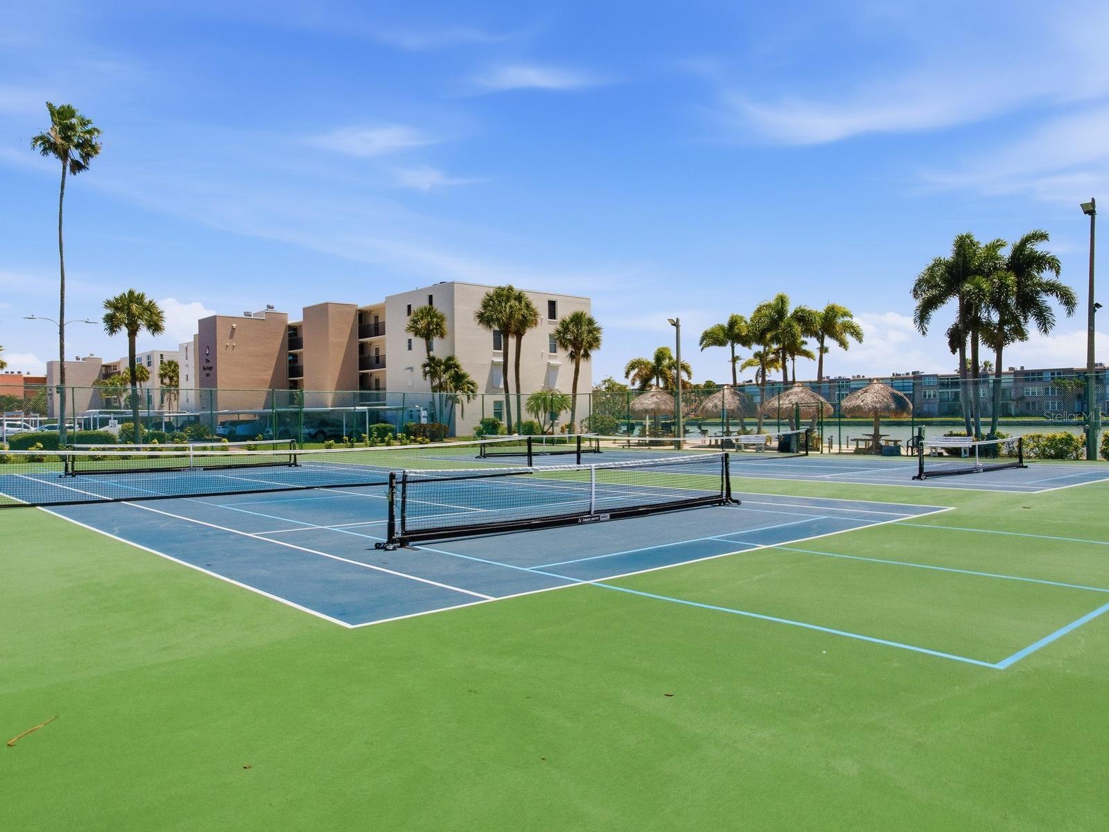 7920 SUN ISLAND DR S #202, SOUTH PASADENA, FL, 33707