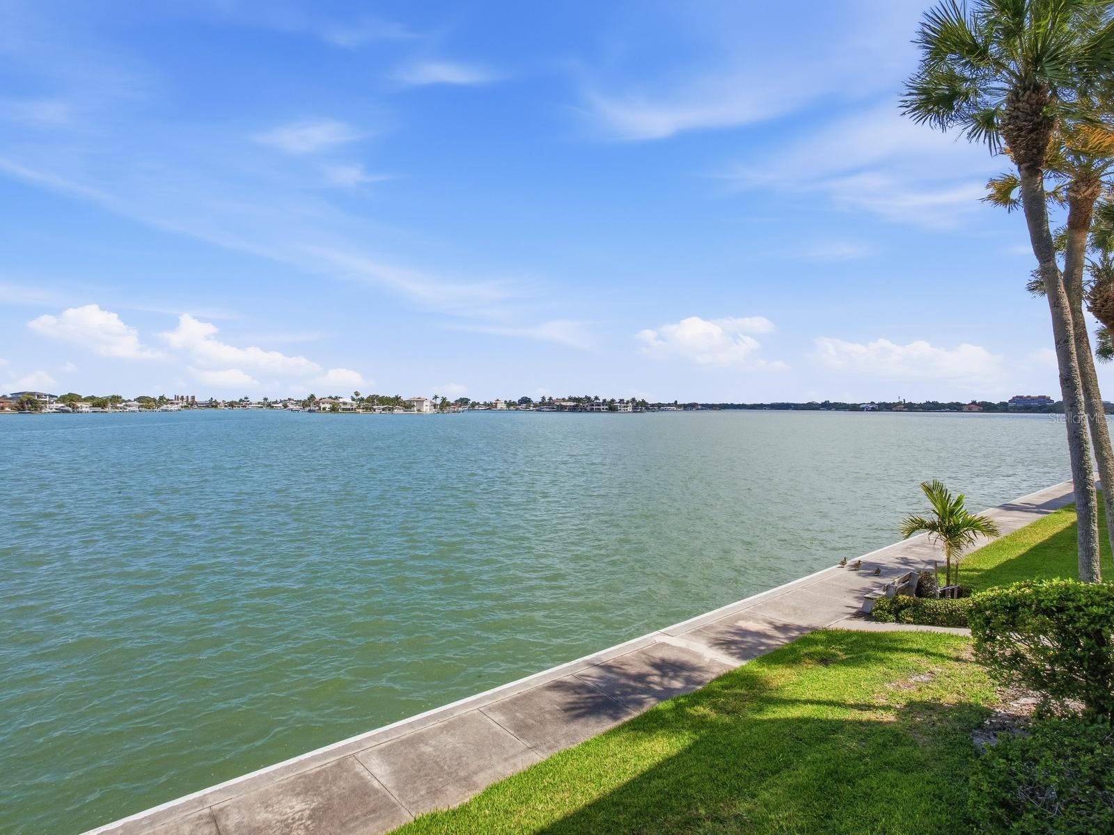 7920 SUN ISLAND DR S #202, SOUTH PASADENA, FL, 33707