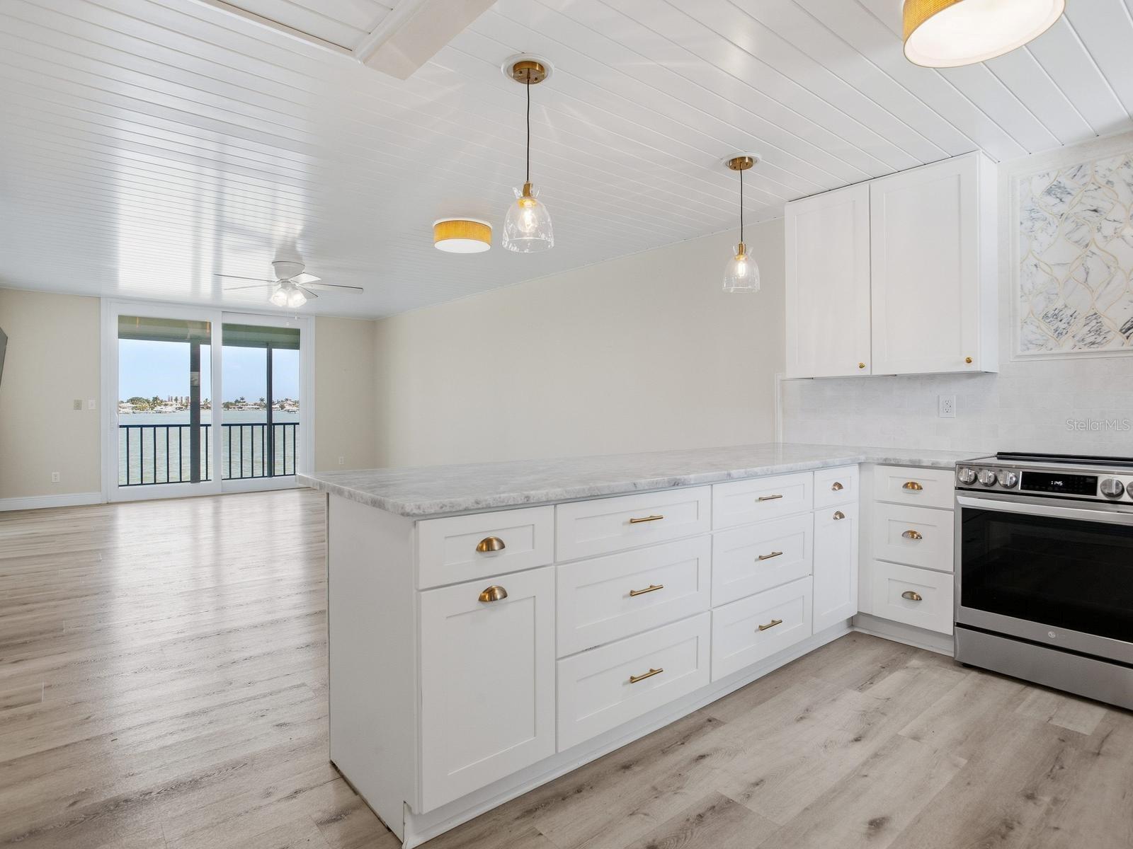 7920 SUN ISLAND DR S #202, SOUTH PASADENA, FL, 33707