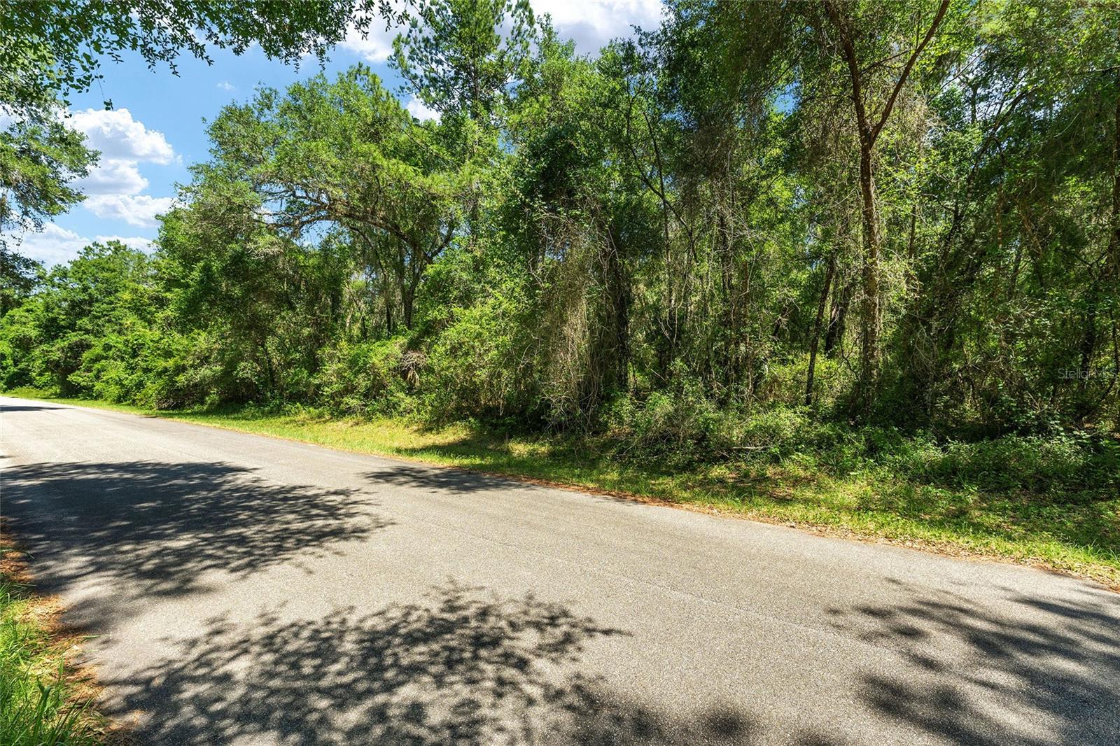 905 E ABEND DR, DUNNELLON, FL, 34434