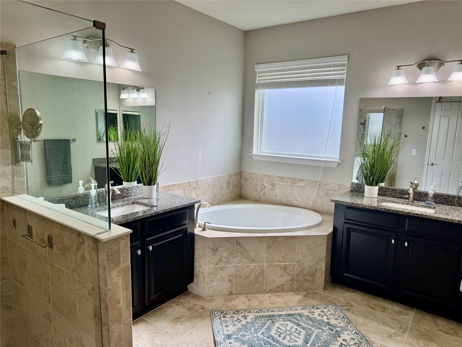 18233 ROSEATE DR, LUTZ, FL, 33558
