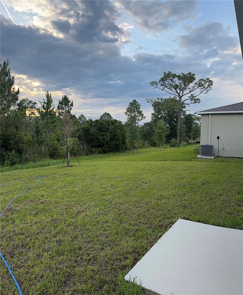 3676 ROLLING RIDGE BND, DAVENPORT, FL, 33837