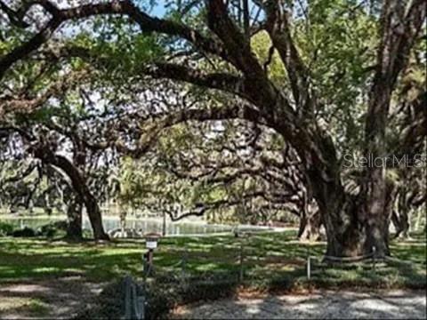 LONGWOOD, FL, 32779