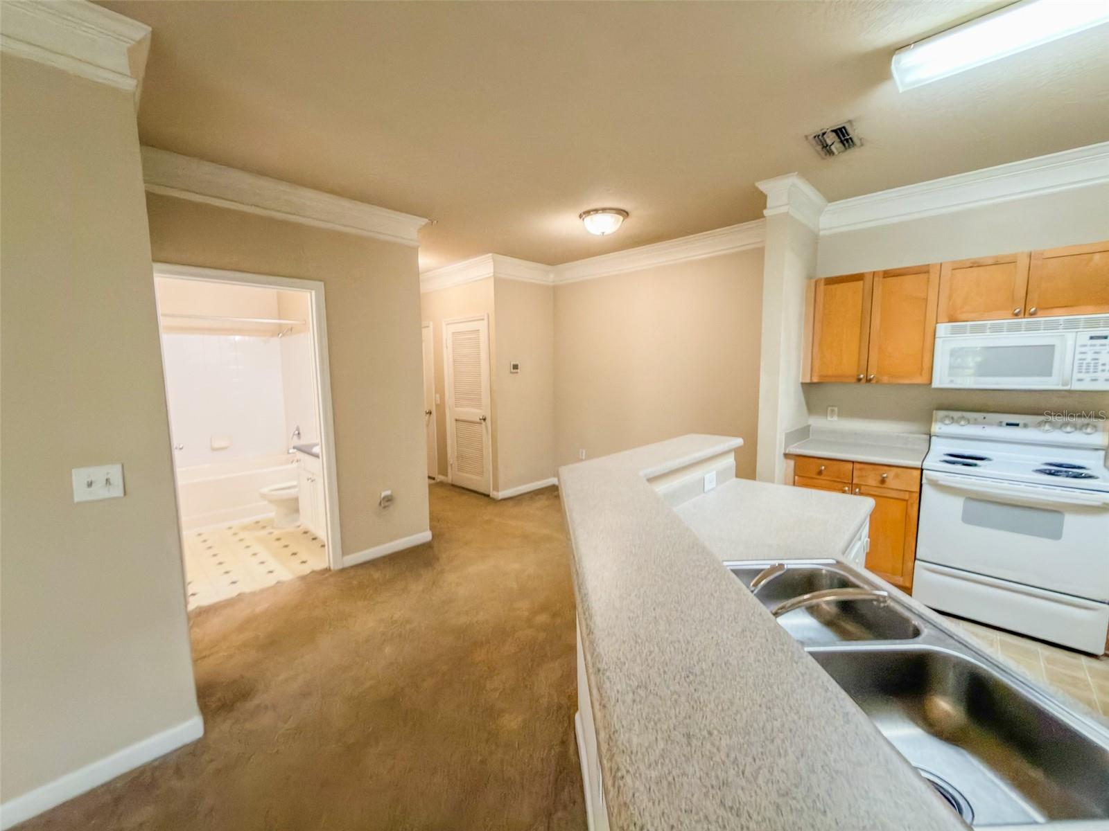 8818 VILLA VIEW CIR #204, ORLANDO, FL, 32821