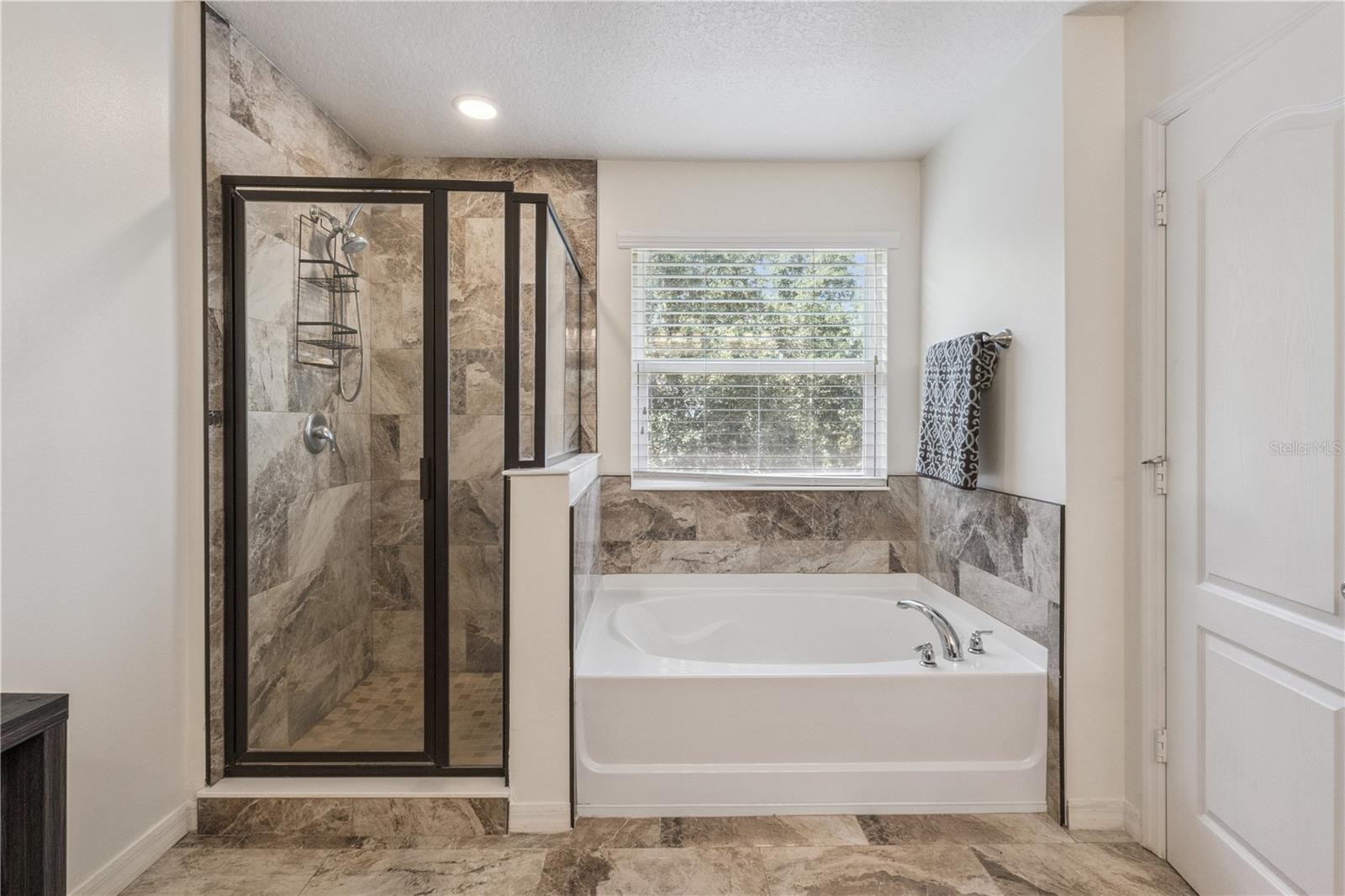 1572 AUBURN HILLS CT, TAVARES, FL, 32778
