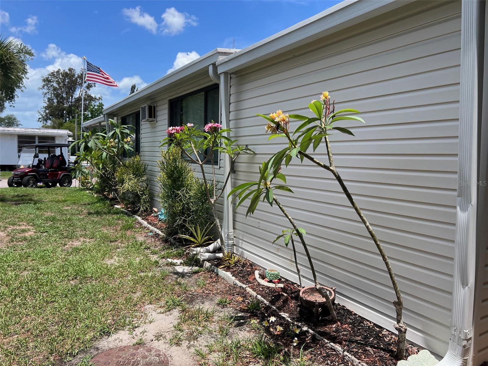 29250 US HIGHWAY 19 N #12, CLEARWATER, FL, 33761