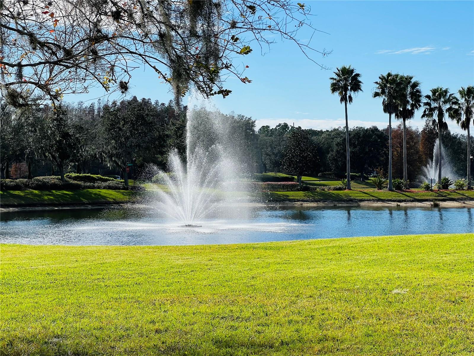 9096 IRON OAK AVE, TAMPA, FL, 33647