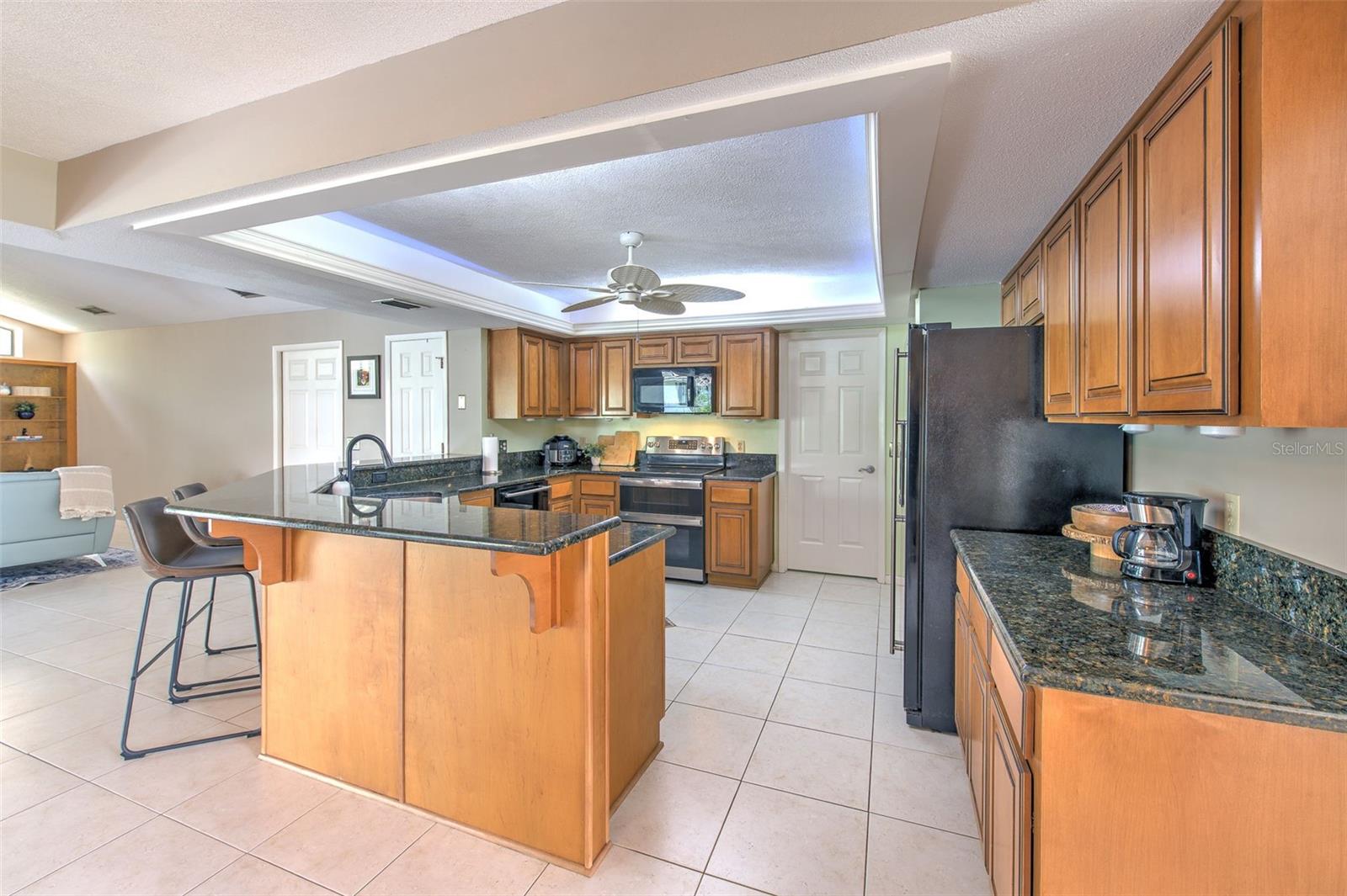 3816 BUCKINGHAM LOOP DR, VALRICO, FL, 33594