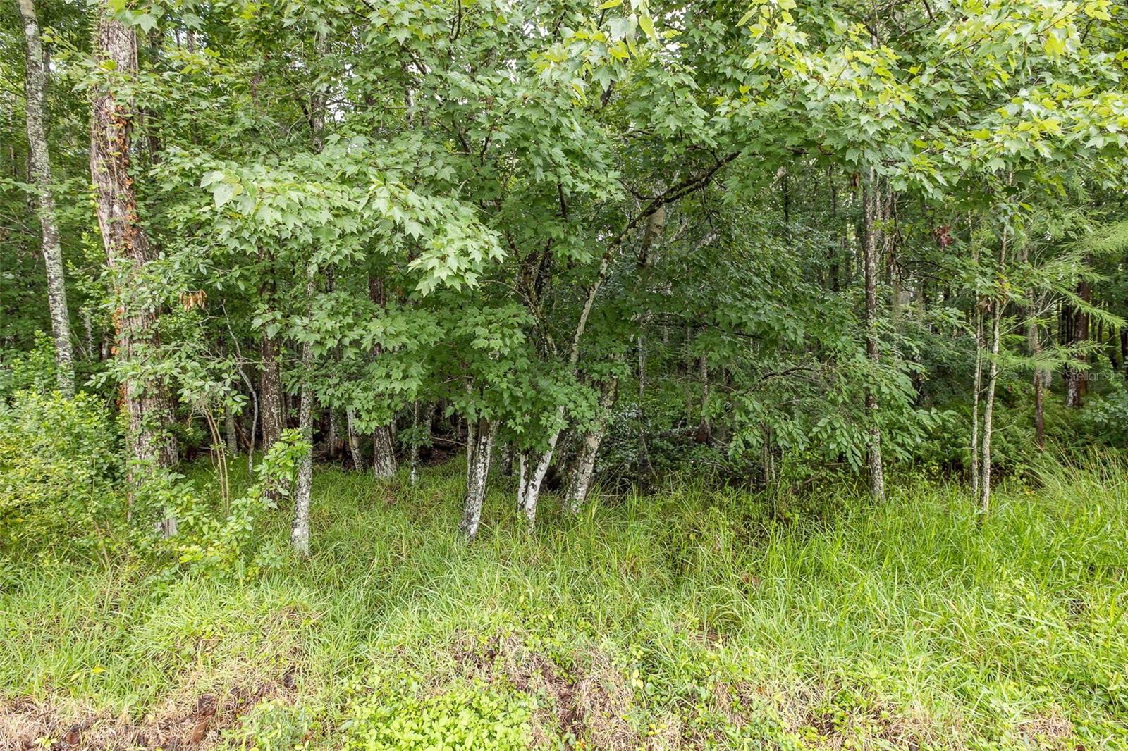 321 WATERFORD CIR E, TARPON SPRINGS, FL, 34688