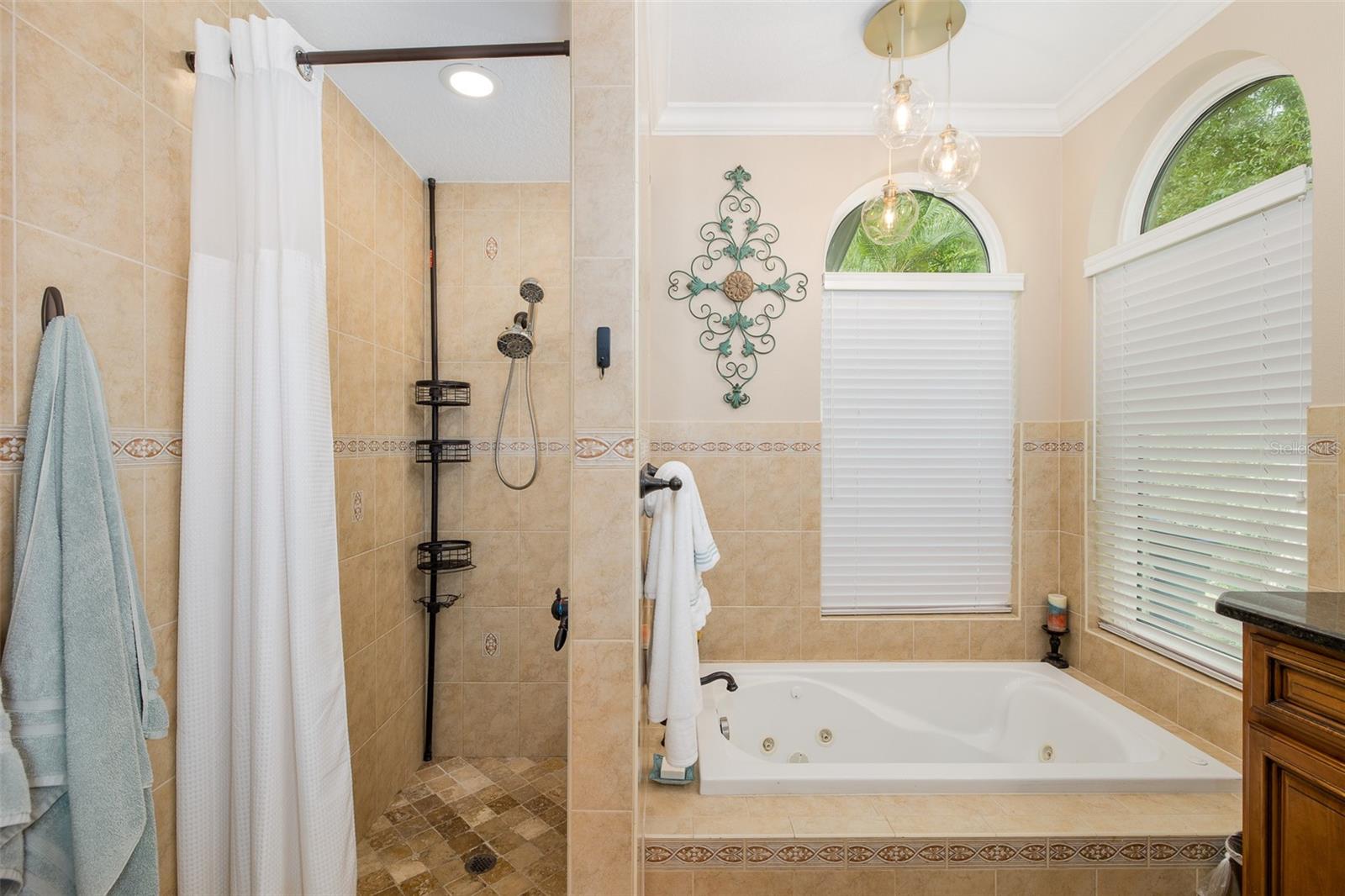 321 WATERFORD CIR E, TARPON SPRINGS, FL, 34688