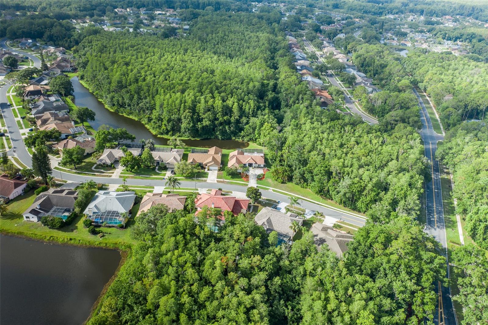321 WATERFORD CIR E, TARPON SPRINGS, FL, 34688