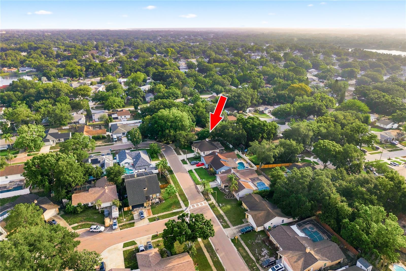 3791 ORCHARD HIGHLANDS DR, PALM HARBOR, FL, 34684
