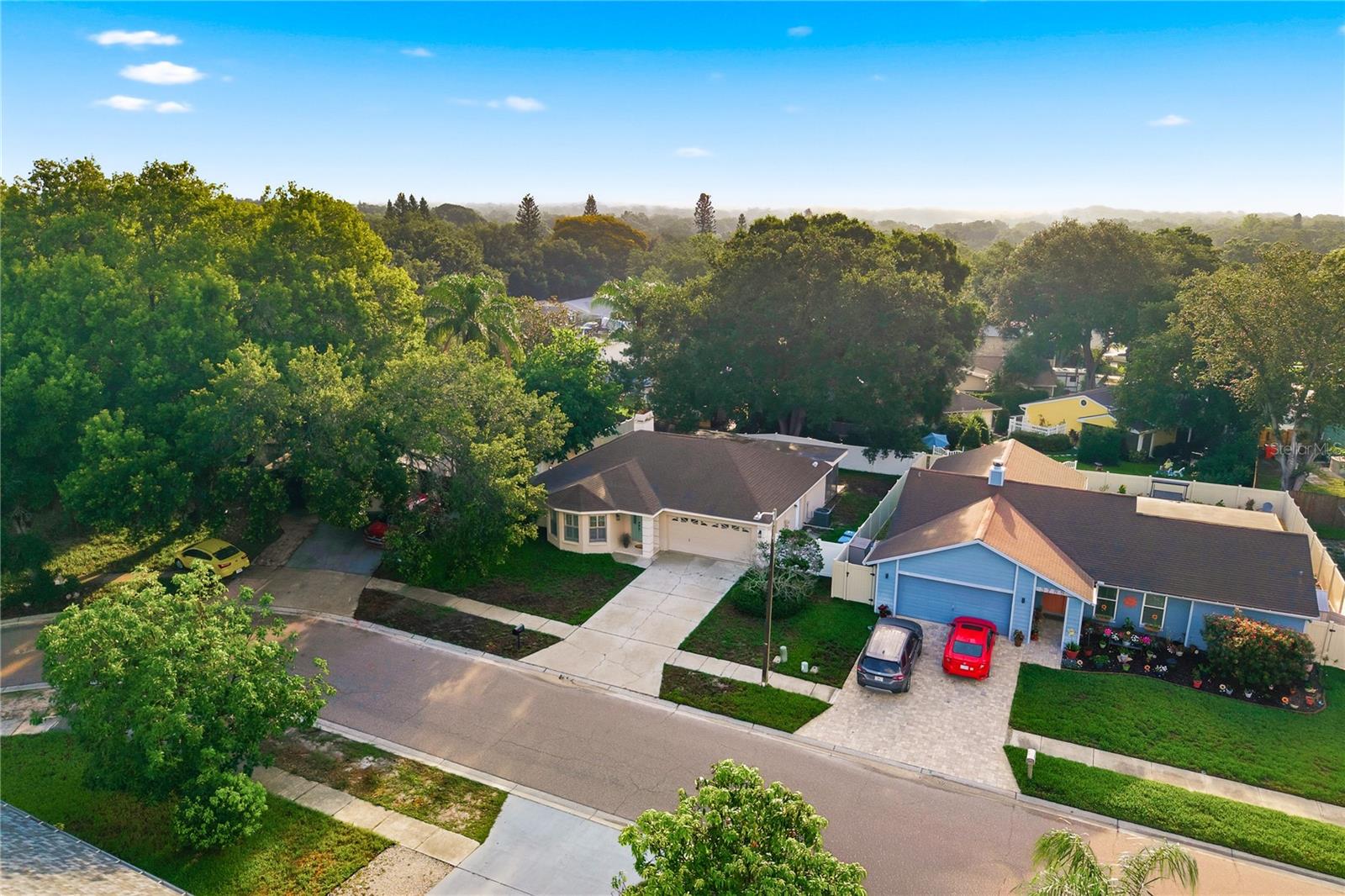 3791 ORCHARD HIGHLANDS DR, PALM HARBOR, FL, 34684