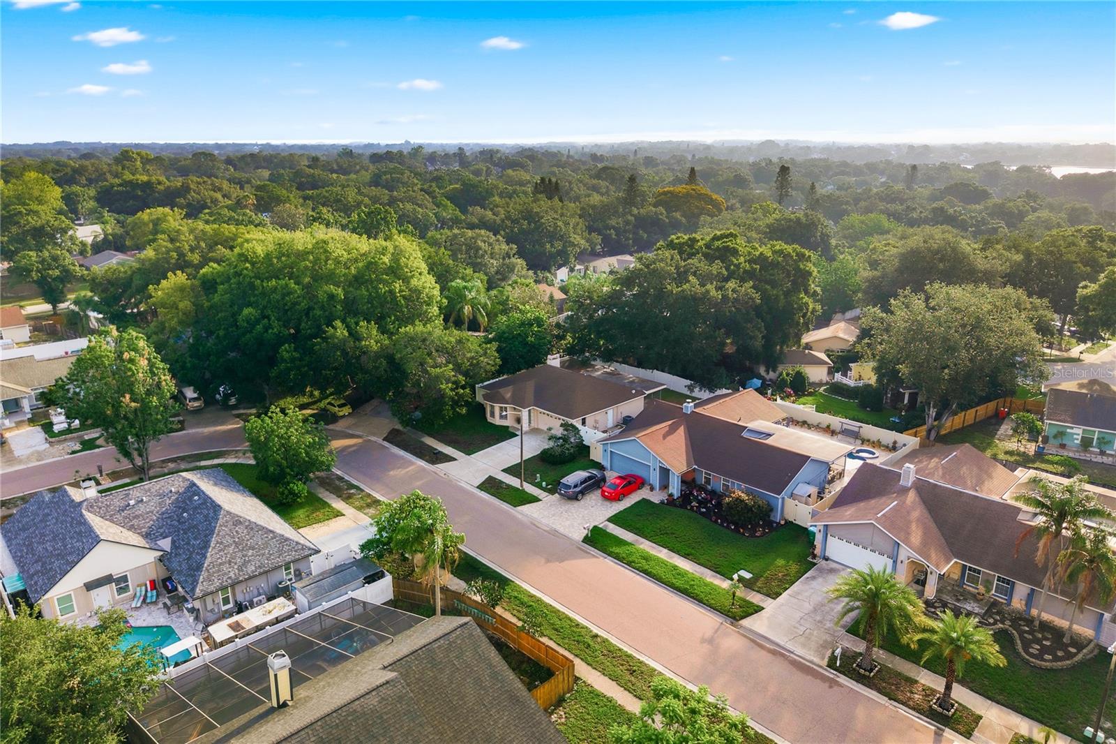 3791 ORCHARD HIGHLANDS DR, PALM HARBOR, FL, 34684