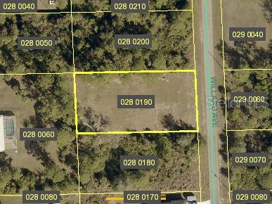 613 WILLARD AVE W, LEHIGH ACRES, FL, 33972
