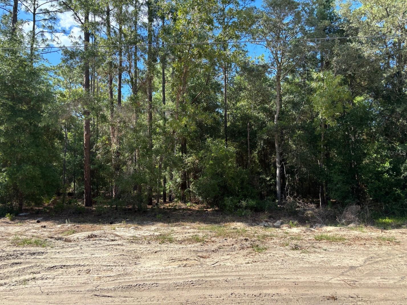 0B SW 93RD PL, DUNNELLON, FL, 34432