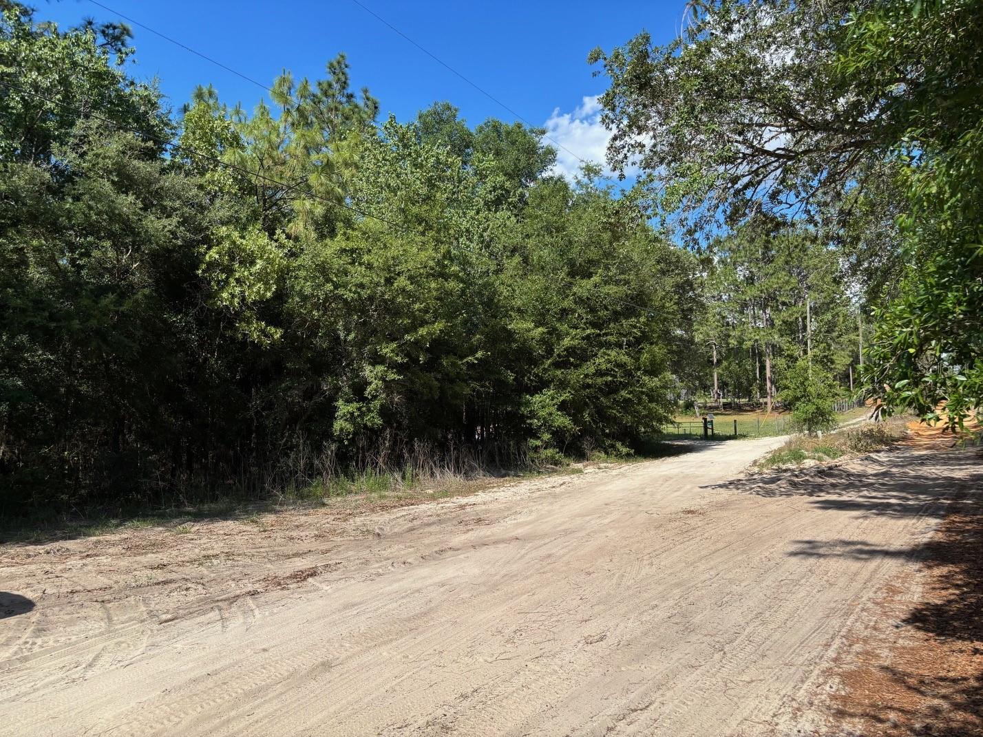 0B SW 93RD PL, DUNNELLON, FL, 34432