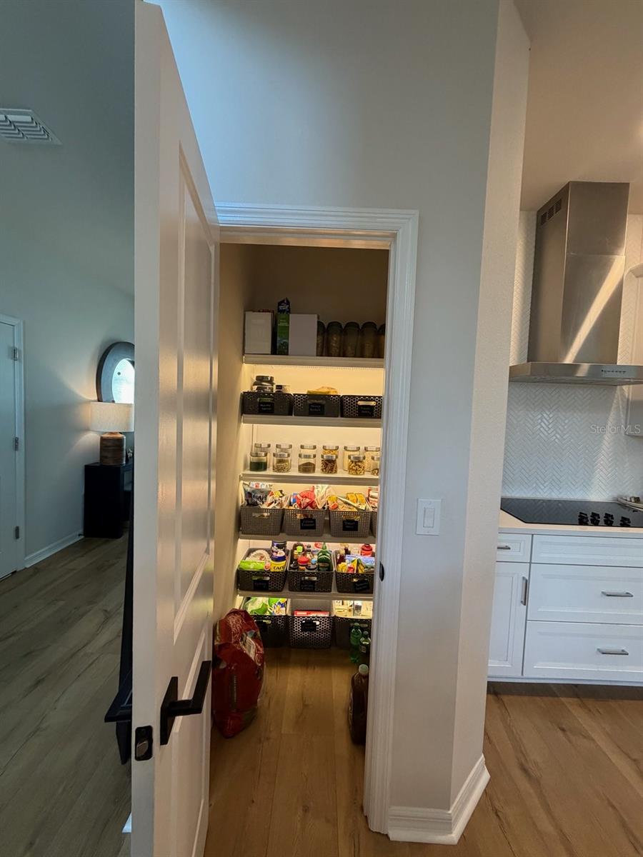 17152 CERCIS LOOP, CLERMONT, FL, 34711