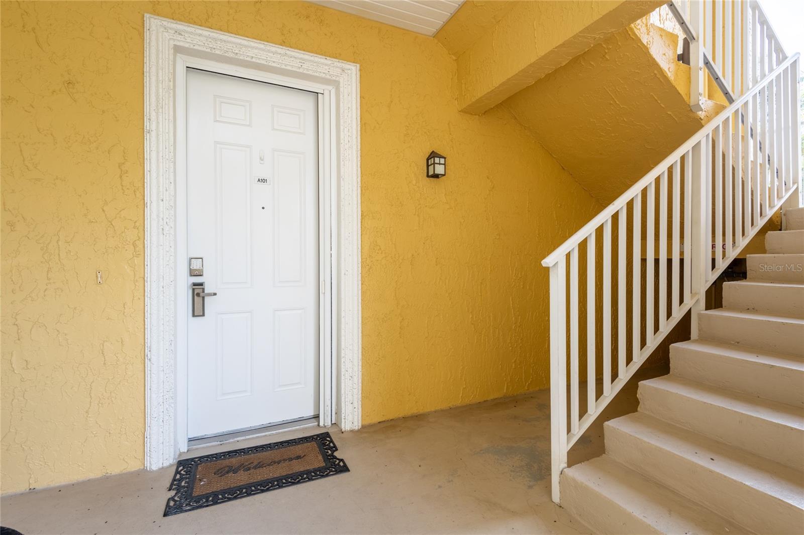 6714 DALI AVE #101, LAND O LAKES, FL, 34637
