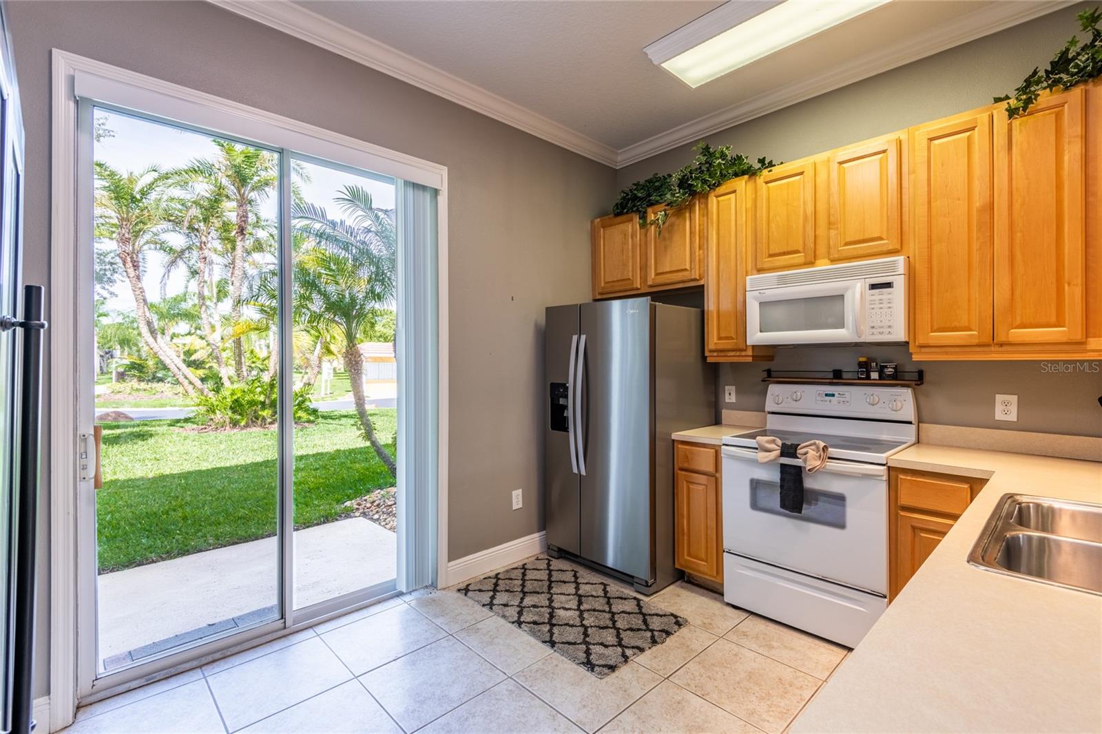 6714 DALI AVE #101, LAND O LAKES, FL, 34637