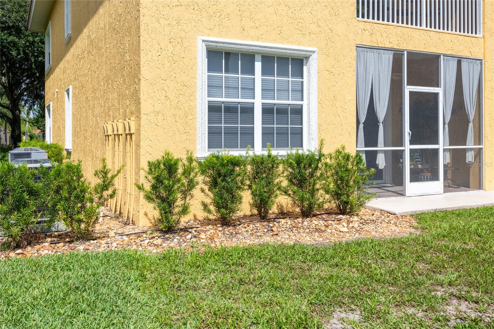 6714 DALI AVE #101, LAND O LAKES, FL, 34637