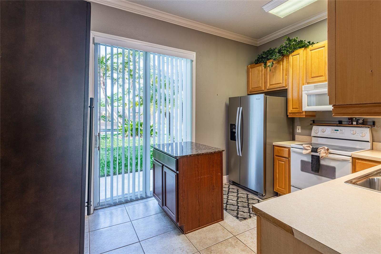 6714 DALI AVE #101, LAND O LAKES, FL, 34637