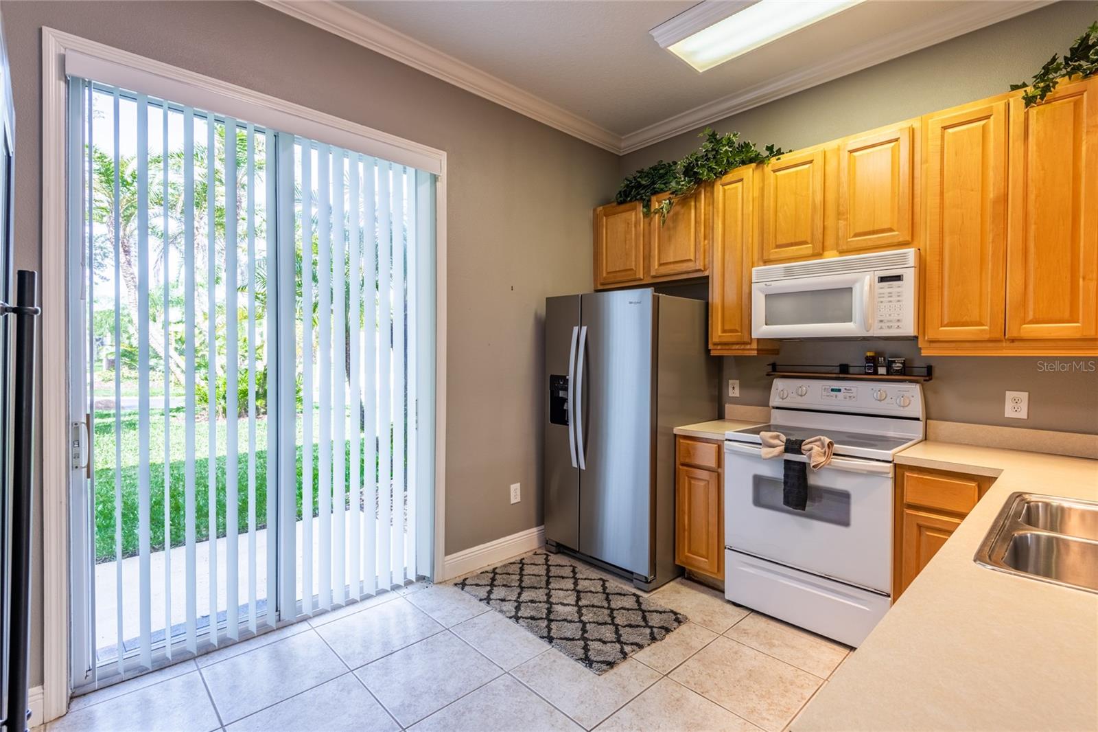 6714 DALI AVE #101, LAND O LAKES, FL, 34637