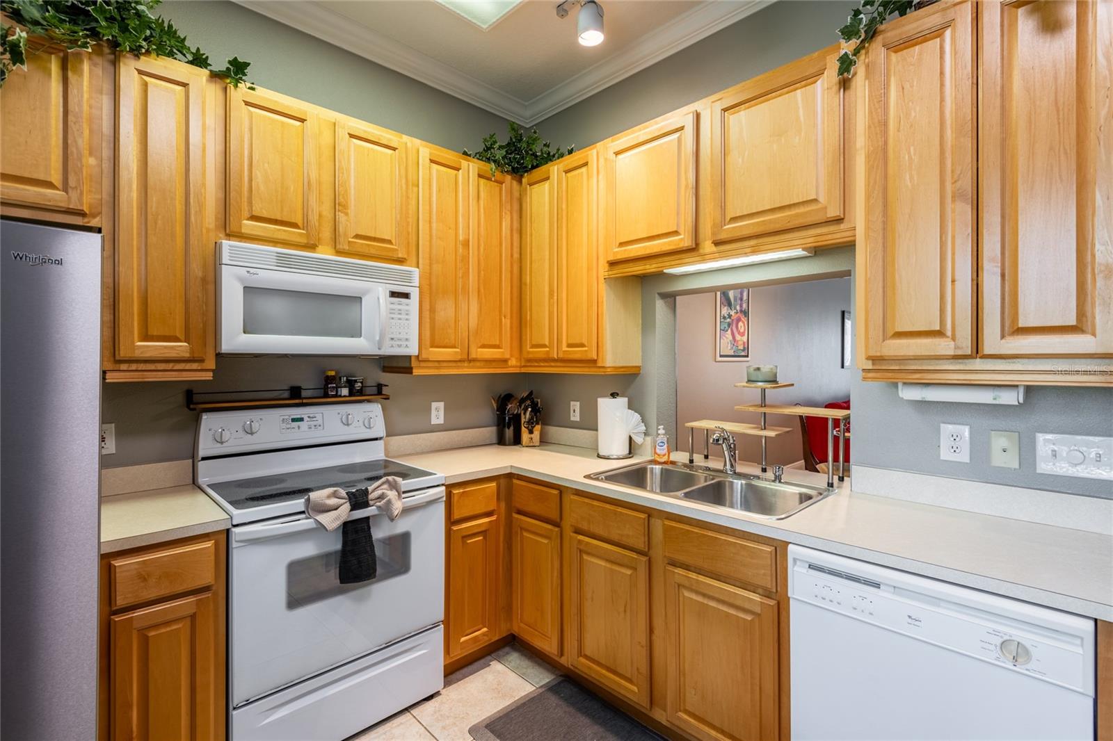 6714 DALI AVE #101, LAND O LAKES, FL, 34637