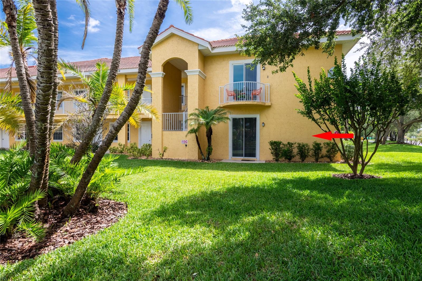 6714 DALI AVE #101, LAND O LAKES, FL, 34637