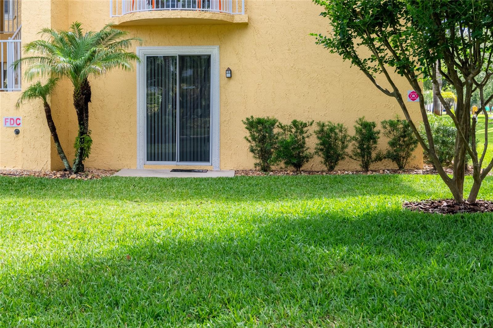 6714 DALI AVE #101, LAND O LAKES, FL, 34637