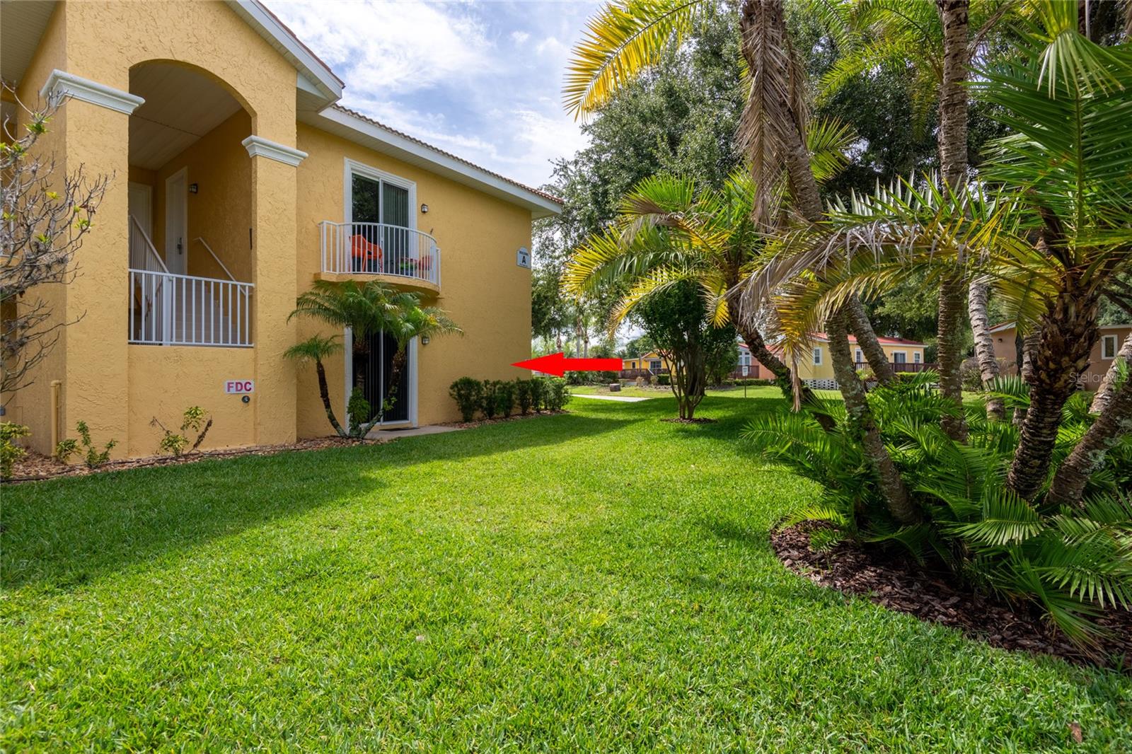 6714 DALI AVE #101, LAND O LAKES, FL, 34637