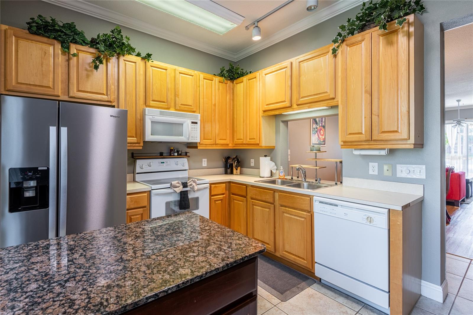 6714 DALI AVE #101, LAND O LAKES, FL, 34637