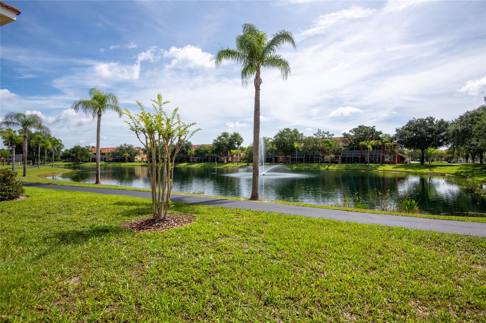 6714 DALI AVE #101, LAND O LAKES, FL, 34637