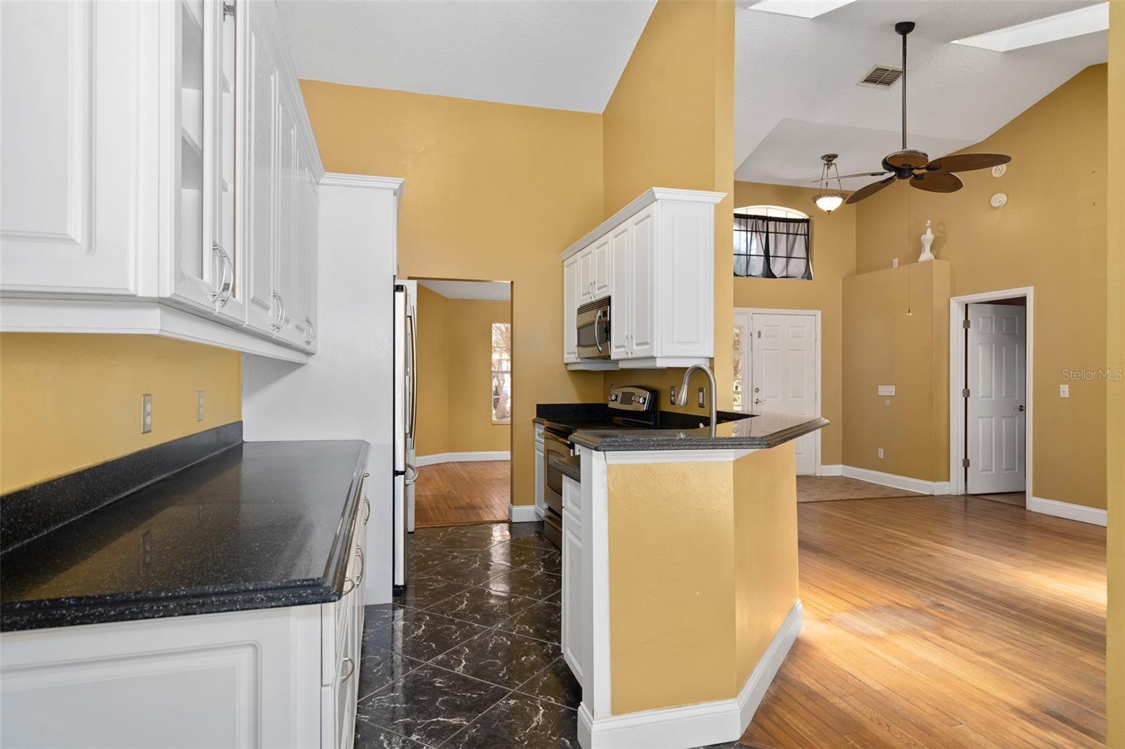 137 MADRONA DR, EUSTIS, FL, 32726