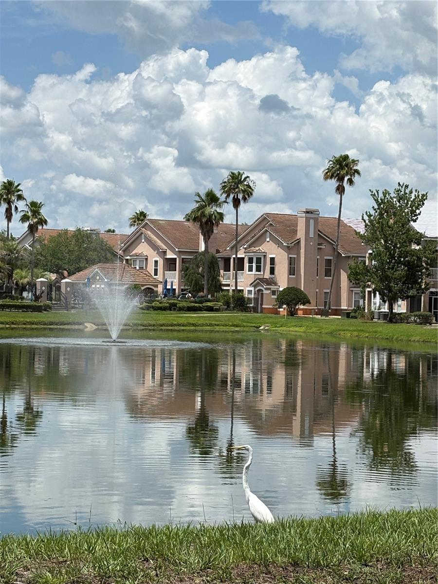 10526 VILLA VIEW CIR #10526, TAMPA, FL, 33647
