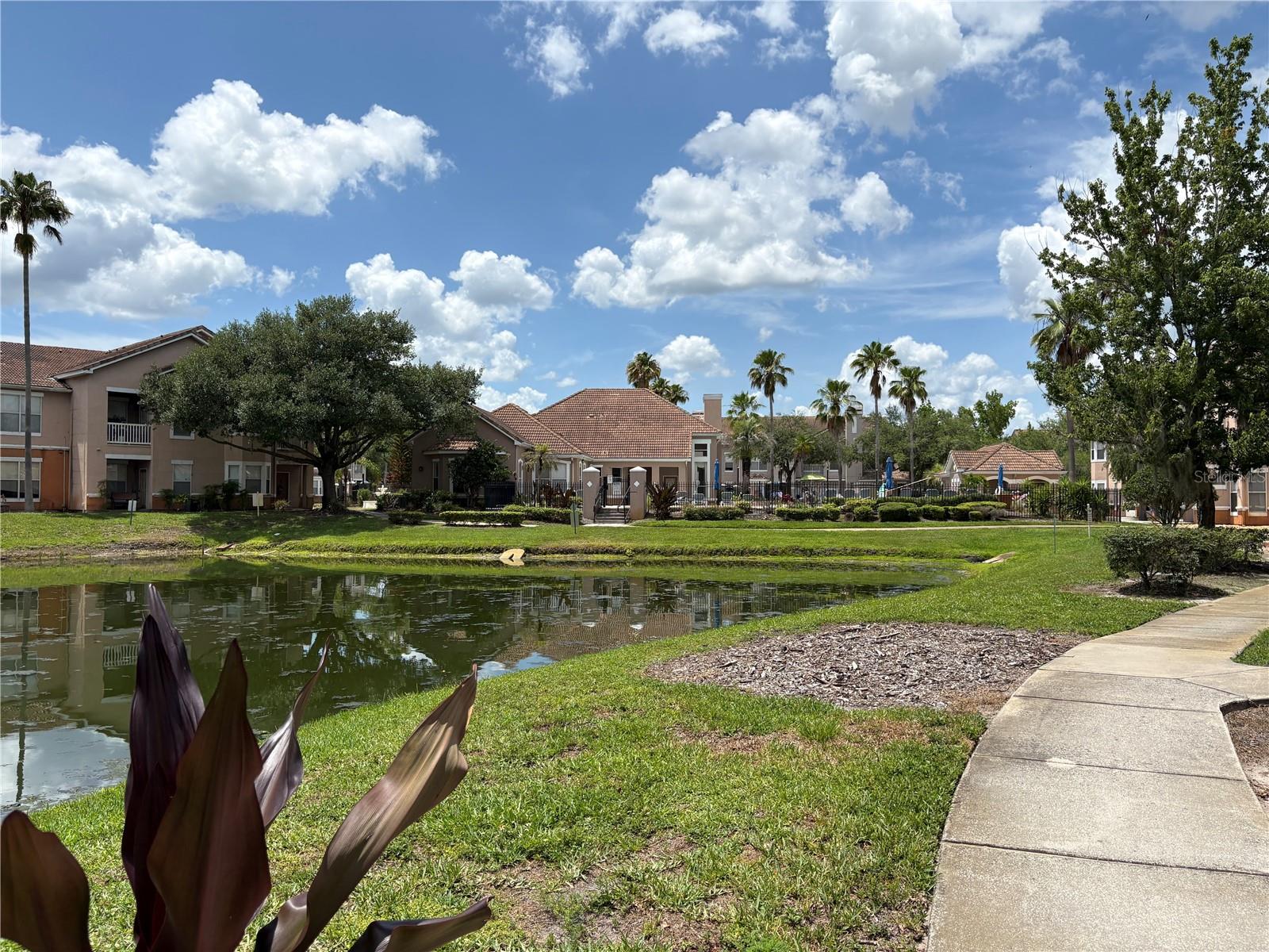 10526 VILLA VIEW CIR #10526, TAMPA, FL, 33647