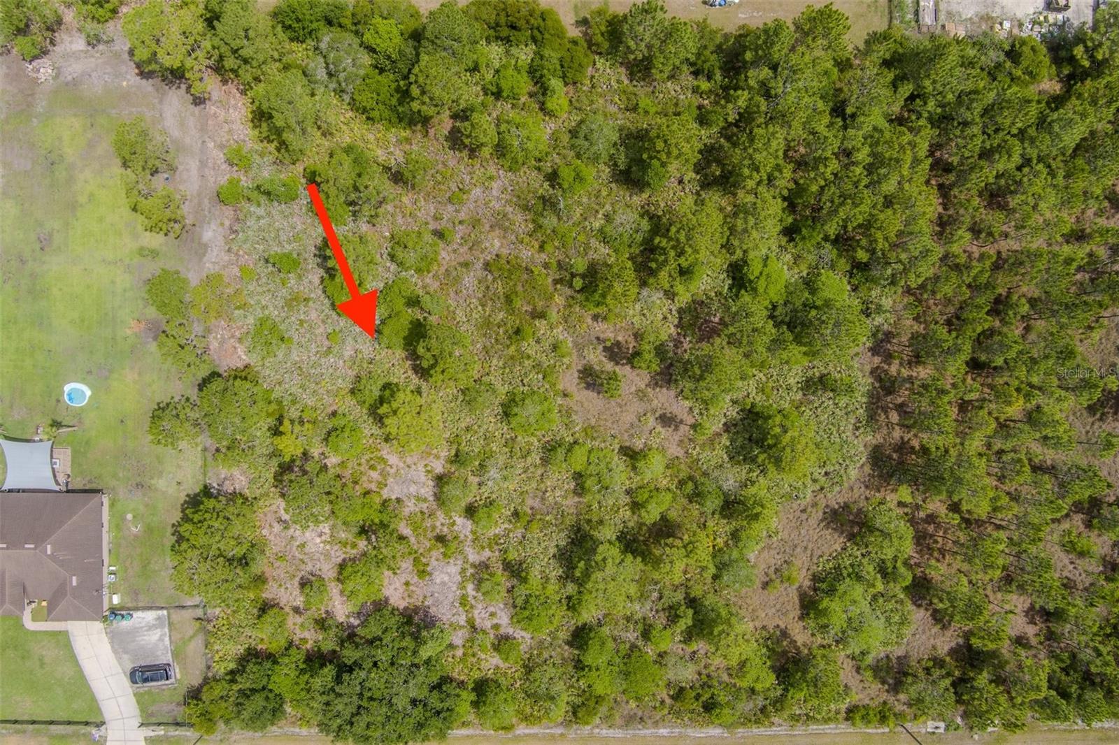 NETTLETON ST, ORLANDO, FL, 32833