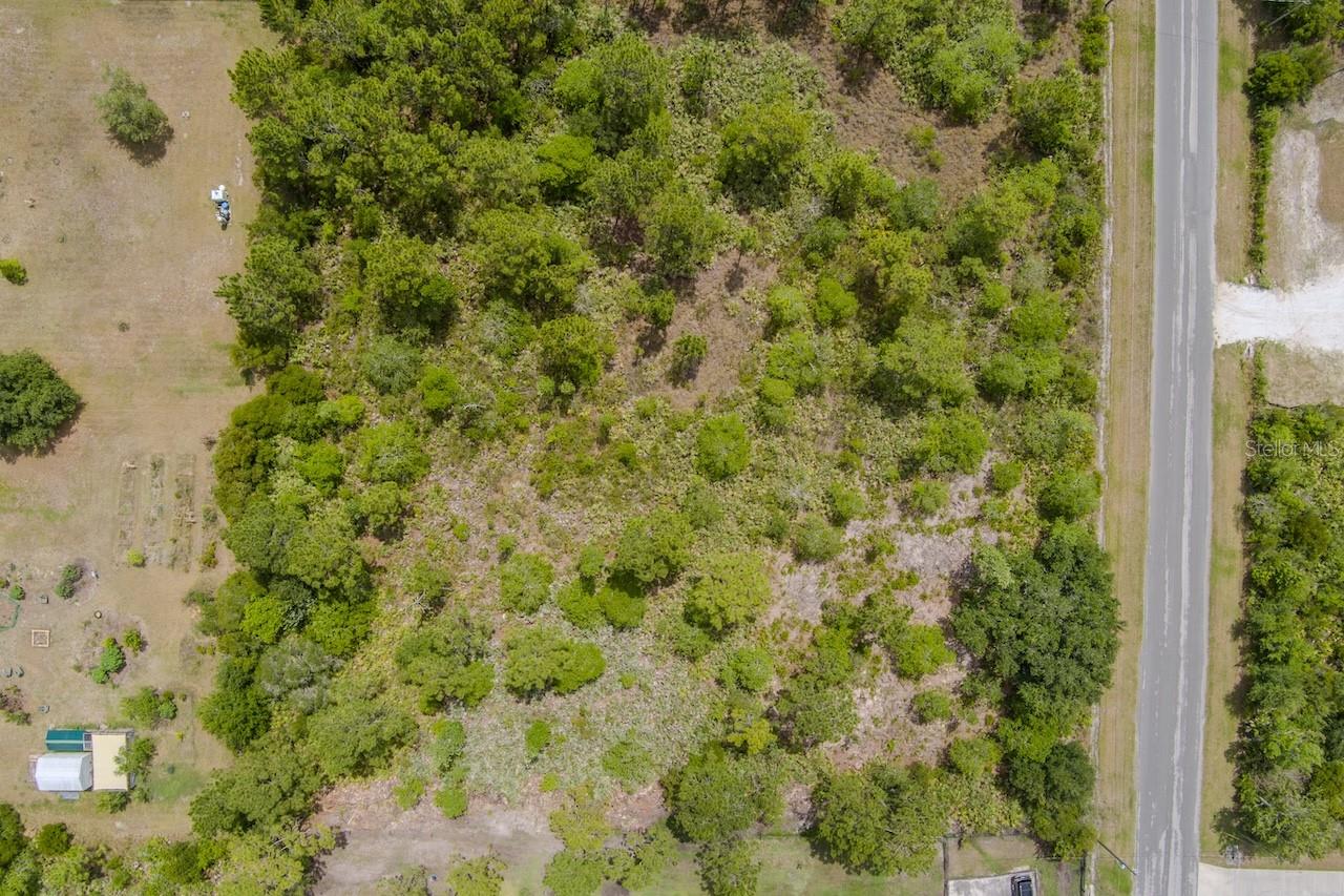 NETTLETON ST, ORLANDO, FL, 32833