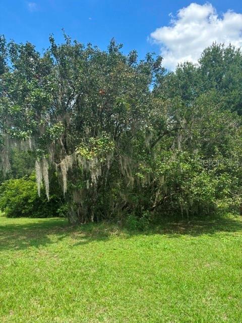 MILDRED AVE, BROOKSVILLE, FL, 34601