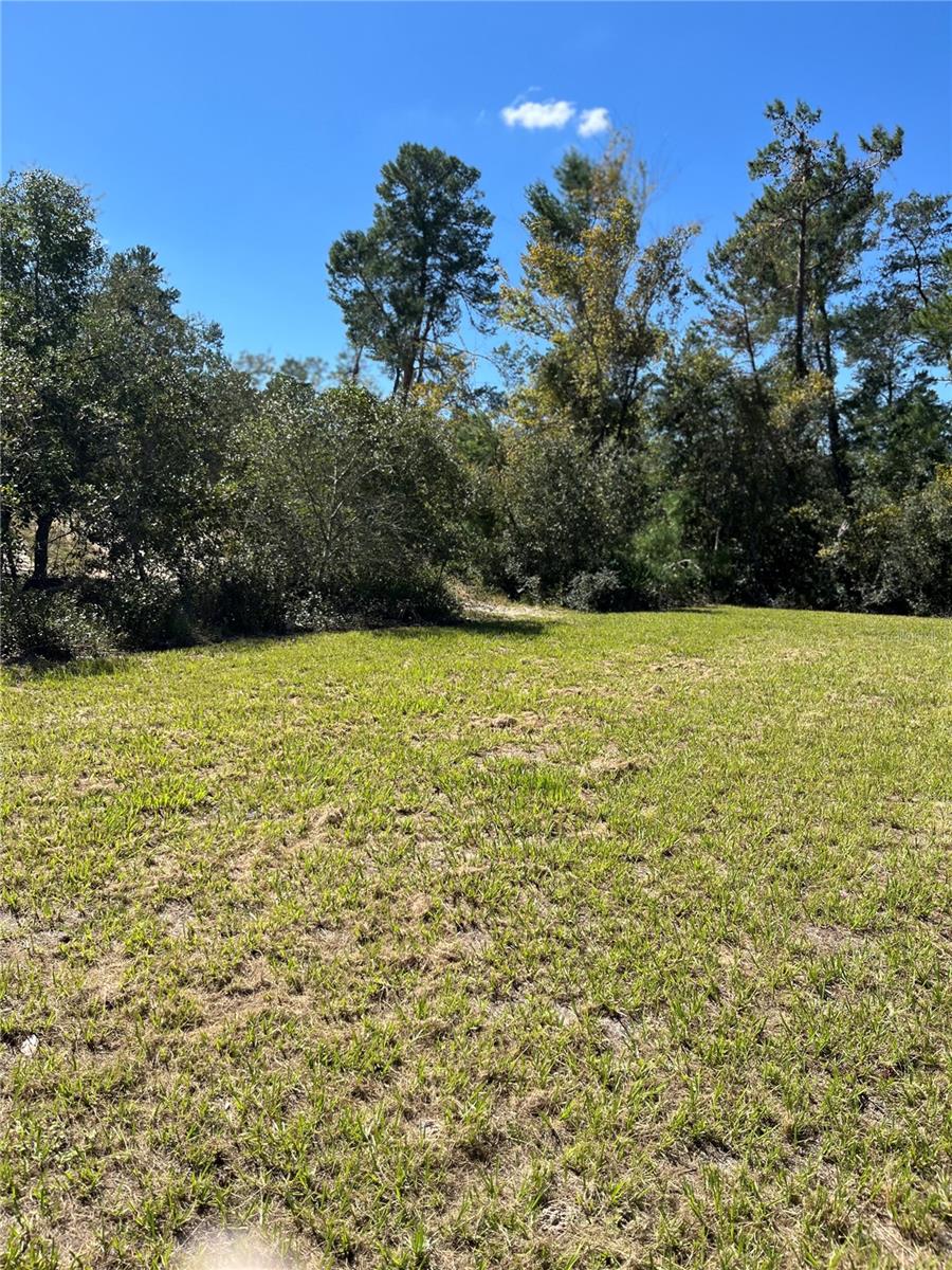 3402 SW 165TH LOOP, OCALA, FL, 34473