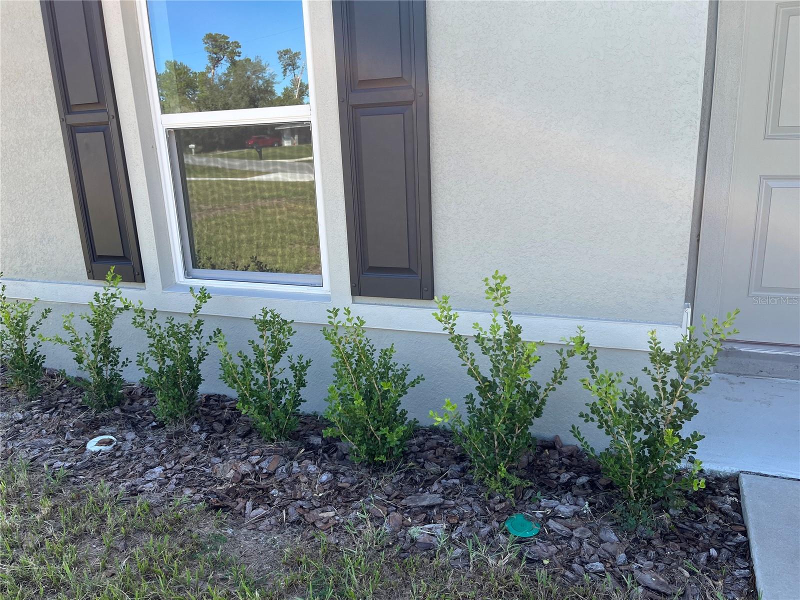 3402 SW 165TH LOOP, OCALA, FL, 34473
