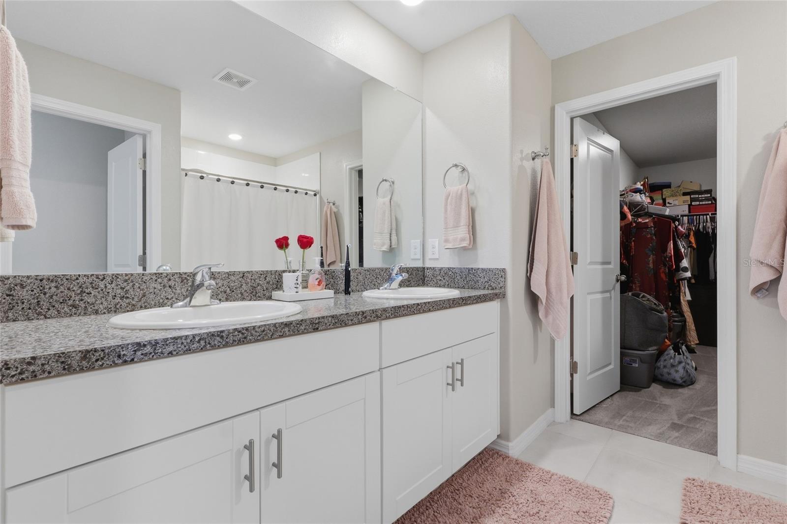 5052 WHITE CHICORY DR, APOLLO BEACH, FL, 33572