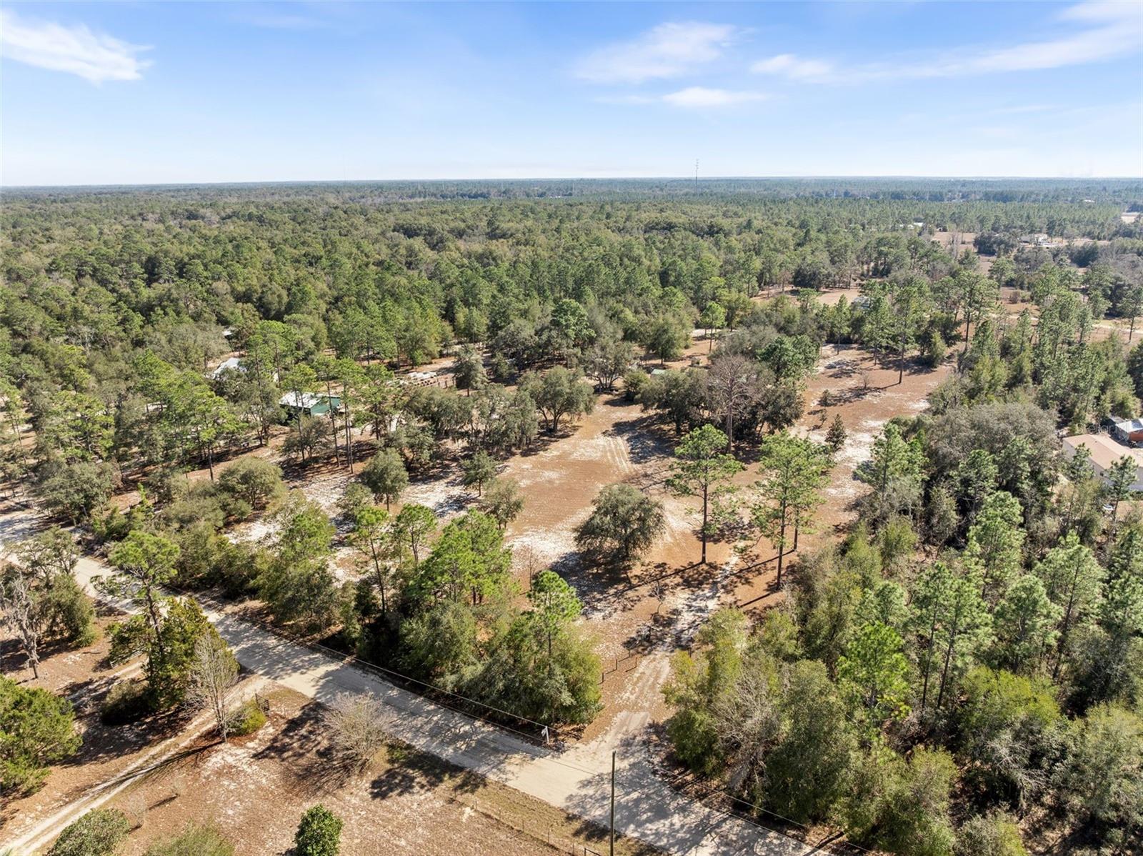 12750 NE 65TH ST, WILLISTON, FL, 32696